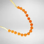 coleccion flores del mar coral eryna coleccion flores del mar coral eryna