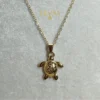 COLGANTE ERYNA TORTUGA EN ACERO