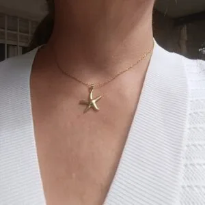 COLGANTE ERYNA ESTRELLA DE MAR ACERO