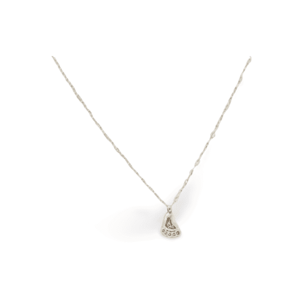 Collar huellita ERYNA plateado detalle primer plano