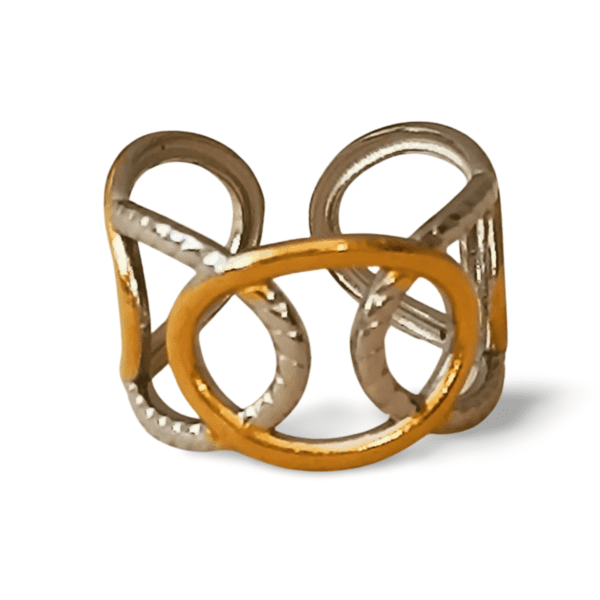 Anillo ERYNA bicolor de acero ajustable vista frontal