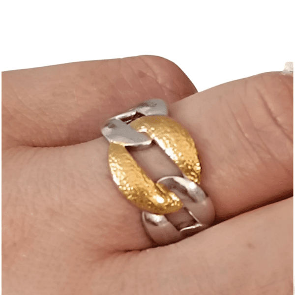 ANILLO ERYNA NEXO BICOLOR 2 Anillo ERYNA bicolor de acero ajustable colocado en el dedo