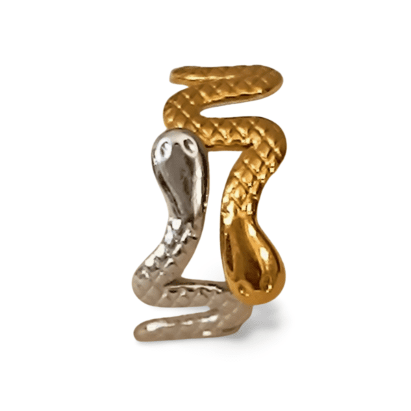 Detalle textura anillo serpiente ERYNA