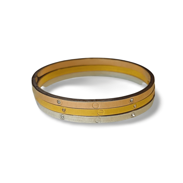 Conjunto de pulseras ERYNA rígidas de acero inoxidable combinadas